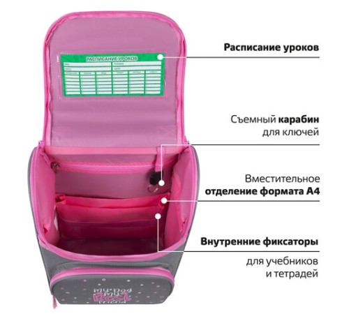 Ранец ПИФАГОР BASIC, 1 отделение, 3 кармана, эргономичная спинка, 