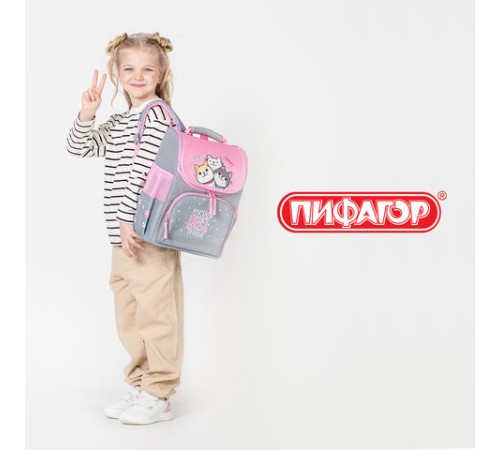 Ранец ПИФАГОР BASIC, 1 отделение, 3 кармана, эргономичная спинка, 