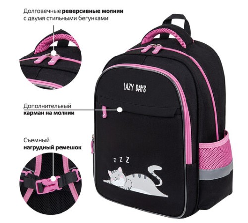 Рюкзак BRAUBERG FAVOUR, 2 отделения, 3 кармана, 