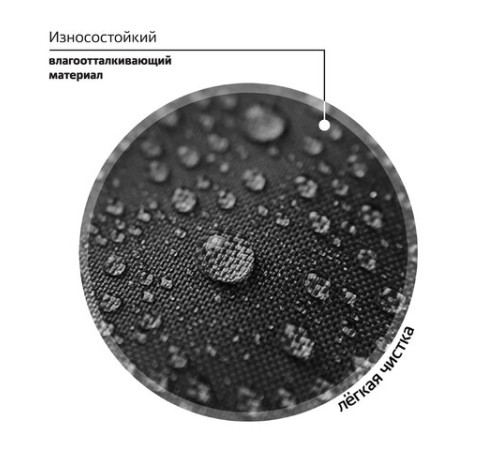 Рюкзак BRAUBERG FAVOUR, 2 отделения, 3 кармана, 