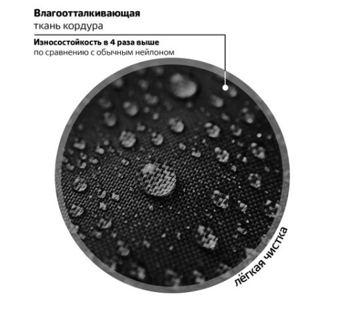 Ранец BRAUBERG LUMINOUS, 2 отделения, с брелоком, 