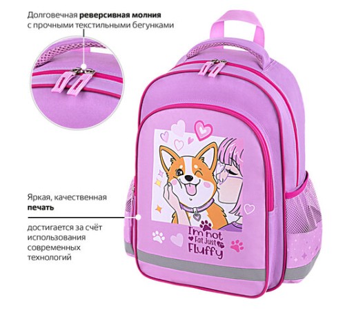 Рюкзак ПИФАГОР SCHOOL, 1 отделение, 3 кармана, 