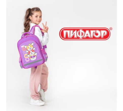 Рюкзак ПИФАГОР SCHOOL, 1 отделение, 3 кармана, 