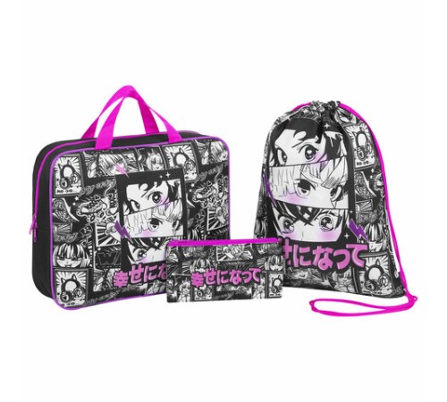 Папка на молнии с ручками А4, мешок для обуви 42х33 см, пенал 20х10 см, 