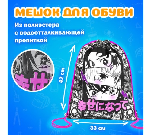 Папка на молнии с ручками А4, мешок для обуви 42х33 см, пенал 20х10 см, 