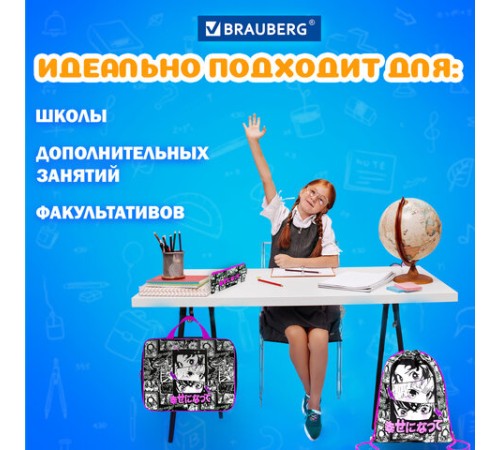 Папка на молнии с ручками А4, мешок для обуви 42х33 см, пенал 20х10 см, 