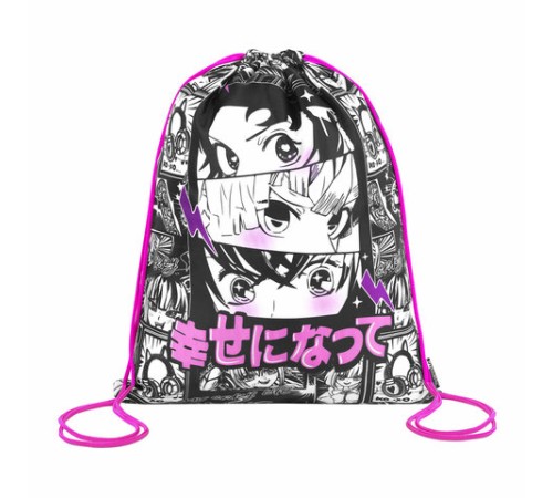 Папка на молнии с ручками А4, мешок для обуви 42х33 см, пенал 20х10 см, 