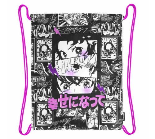 Папка на молнии с ручками А4, мешок для обуви 42х33 см, пенал 20х10 см, 