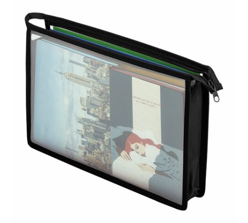 Папка для тетрадей А4 ПИФАГОР, пластик, молния сверху, прозрачная, черный, 272107