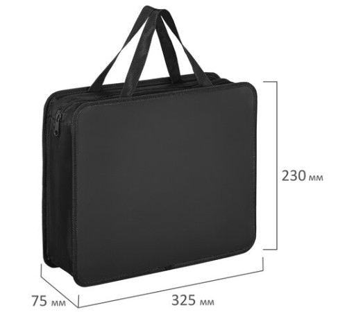 Папка на молнии с ручками ПИФАГОР, А4, 1 отделение, пластик, 75 мм, черная, 272110