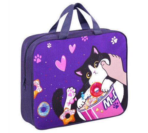 Папка на молнии с ручками BRAUBERG KIDS А4, 1 отделение, полиэстер, 80 мм, 