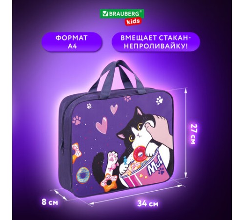 Папка на молнии с ручками BRAUBERG KIDS А4, 1 отделение, полиэстер, 80 мм, 