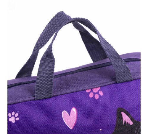 Папка на молнии с ручками BRAUBERG KIDS А4, 1 отделение, полиэстер, 80 мм, 