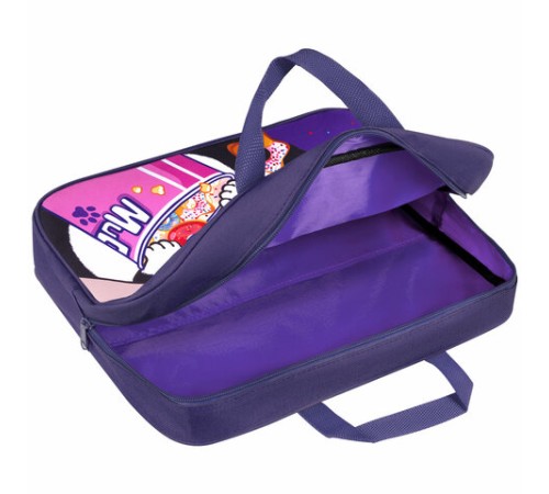 Папка на молнии с ручками BRAUBERG KIDS А4, 1 отделение, полиэстер, 80 мм, 