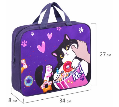 Папка на молнии с ручками BRAUBERG KIDS А4, 1 отделение, полиэстер, 80 мм, 