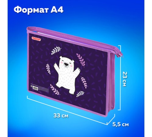 Папка для тетрадей ПИФАГОР А4, 1 отделение, картон/пластик, на молнии, 