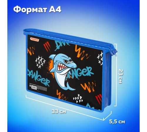 Папка для тетрадей ПИФАГОР А4, 1 отделение, картон/пластик, на молнии, 