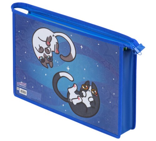 Папка для тетрадей ЮНЛАНДИЯ А4, 1 отделение, картон/пластик, конгрев, на молнии, 