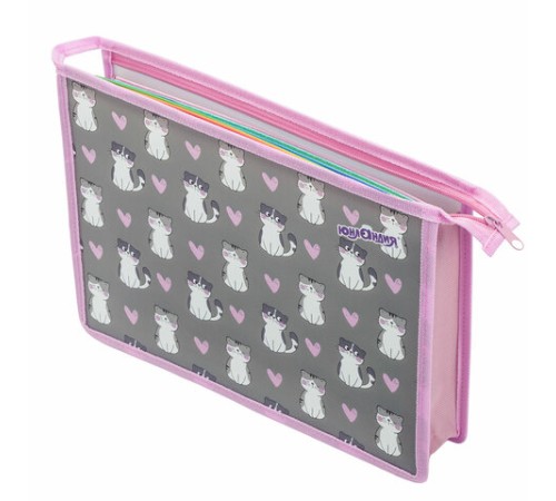 Папка для тетрадей ЮНЛАНДИЯ А4, 1 отделение, пластик, на молнии, 