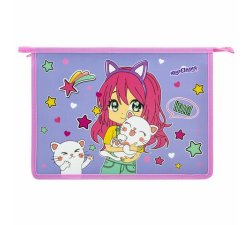 Папка для тетрадей ЮНЛАНДИЯ А4, 1 отделение, пластик, на молнии, 