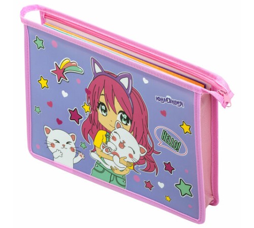 Папка для тетрадей ЮНЛАНДИЯ А4, 1 отделение, пластик, на молнии, 