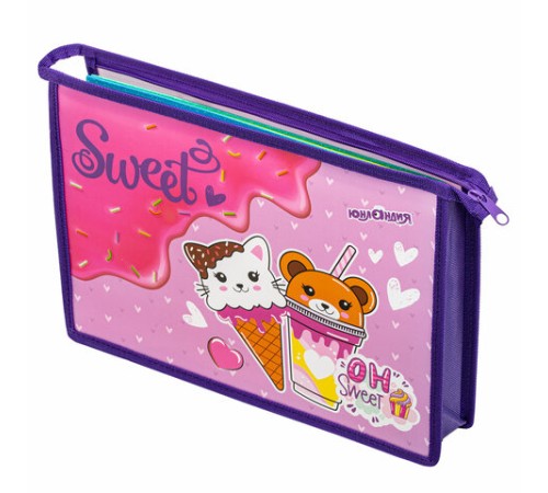 Папка для тетрадей ЮНЛАНДИЯ А4, 1 отделение, пластик, на молнии, 