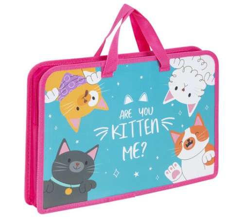 Папка на молнии с ручками ЮНЛАНДИЯ А4, 1 отделение, пластик, ширина 45 мм, 