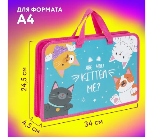 Папка на молнии с ручками ЮНЛАНДИЯ А4, 1 отделение, пластик, ширина 45 мм, 