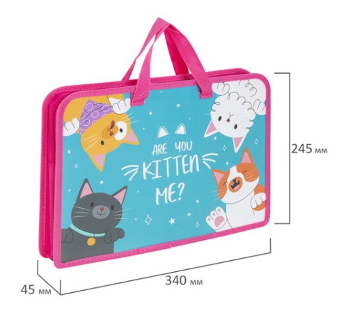 Папка на молнии с ручками ЮНЛАНДИЯ А4, 1 отделение, пластик, ширина 45 мм, 