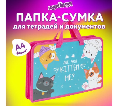 Папка на молнии с ручками ЮНЛАНДИЯ А4, 1 отделение, пластик, ширина 45 мм, 