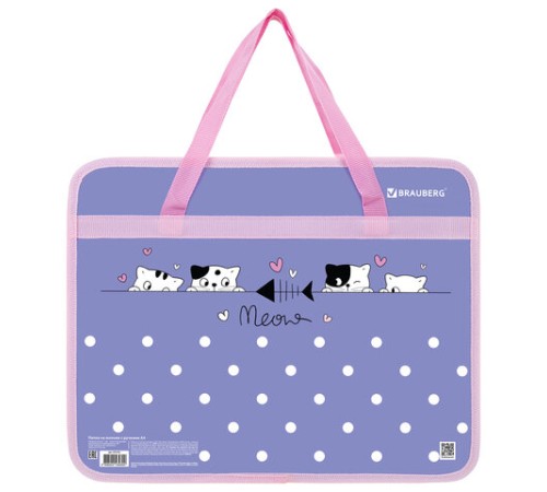 Папка на молнии с ручками BRAUBERG А4, 1 отделение, пластик, 80 мм, 