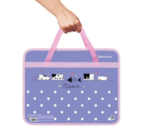 Папка на молнии с ручками BRAUBERG А4, 1 отделение, пластик, 80 мм, 