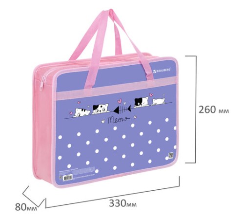 Папка на молнии с ручками BRAUBERG А4, 1 отделение, пластик, 80 мм, 