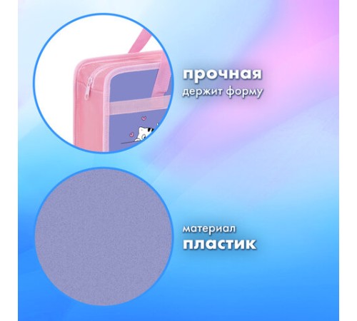 Папка на молнии с ручками BRAUBERG А4, 1 отделение, пластик, 80 мм, 