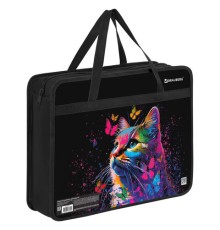 Папка на молнии с ручками BRAUBERG А4, 1 отделение, пластик, 80 мм, 