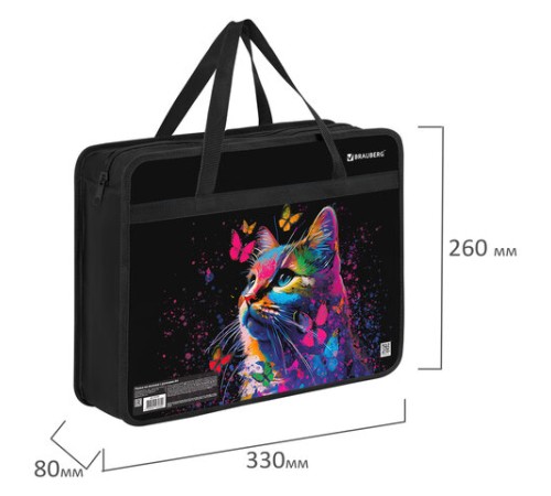 Папка на молнии с ручками BRAUBERG А4, 1 отделение, пластик, 80 мм, 