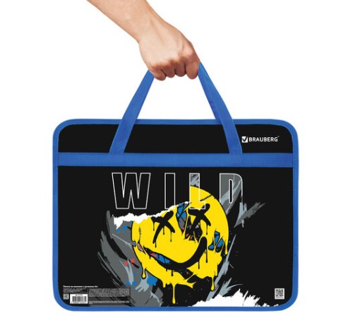 Папка на молнии с ручками BRAUBERG А4, 1 отделение, пластик, 80 мм, 