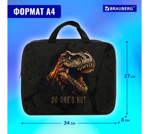 Папка на молнии с ручками BRAUBERG А4, 1 отделение, полиэстер, 80 мм, 