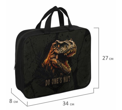 Папка на молнии с ручками BRAUBERG А4, 1 отделение, полиэстер, 80 мм, 