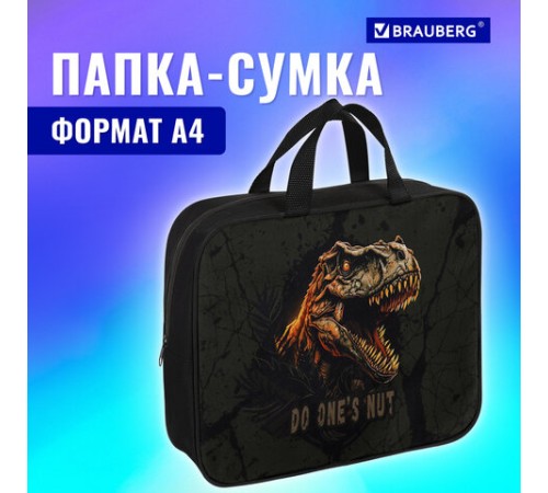 Папка на молнии с ручками BRAUBERG А4, 1 отделение, полиэстер, 80 мм, 