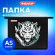 Папка для тетрадей ПИФАГОР А5, 1 отделение, пластик, на молнии, White tiger, 272195