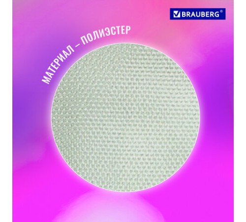 Папка для тетрадей BRAUBERG А5, 1 отделение, полиэстер, на молнии, с ручкой, 