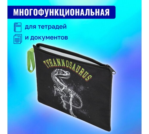 Папка для тетрадей BRAUBERG А5, 1 отделение, полиэстер, на молнии, с ручкой, 