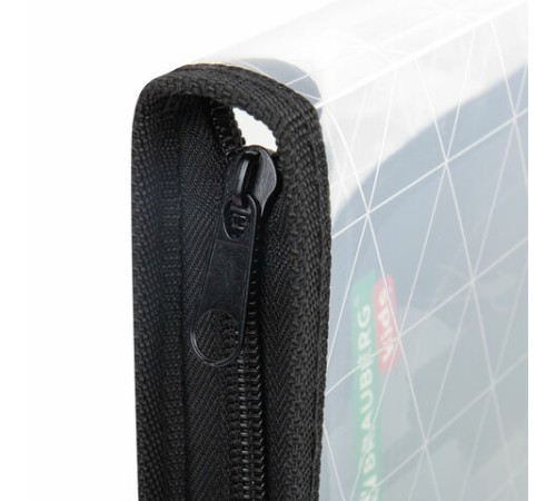 Папка для труда на молнии BRAUBERG KIDS А4, 1 отделение, прозрачная, органайзер, 