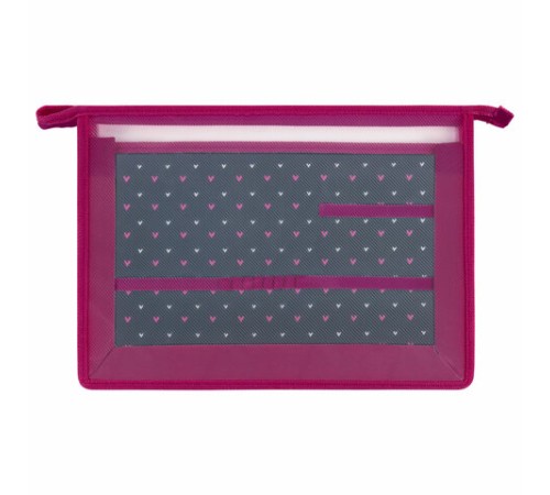 Папка для труда на молнии BRAUBERG А4, 2 отделения, органайзер, 