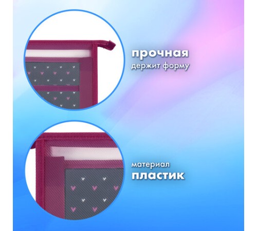 Папка для труда на молнии BRAUBERG А4, 2 отделения, органайзер, 