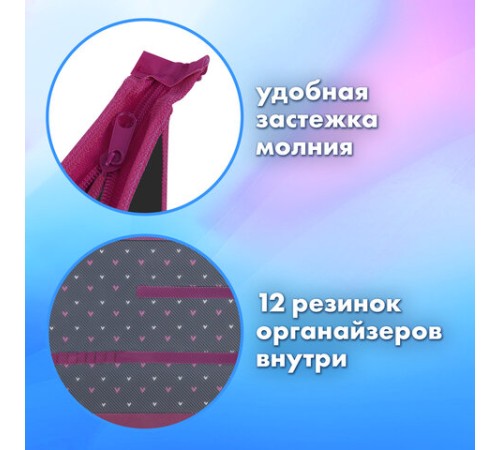 Папка для труда на молнии BRAUBERG А4, 2 отделения, органайзер, 