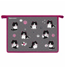 Папка для труда на молнии BRAUBERG А4, 2 отделения, органайзер, 