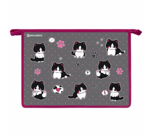 Папка для труда на молнии BRAUBERG А4, 2 отделения, органайзер, 