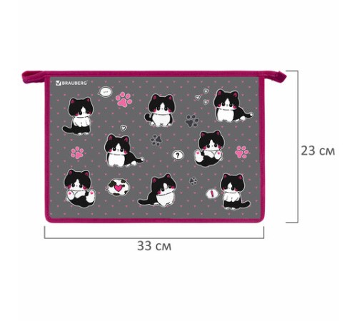 Папка для труда на молнии BRAUBERG А4, 2 отделения, органайзер, 